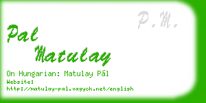 pal matulay business card