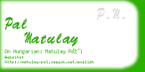 pal matulay business card